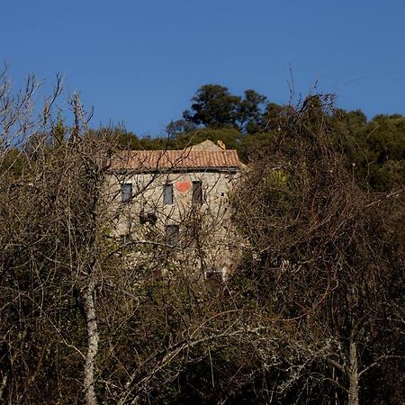Casa Giacometti Grosseto-Prugna Dış mekan fotoğraf