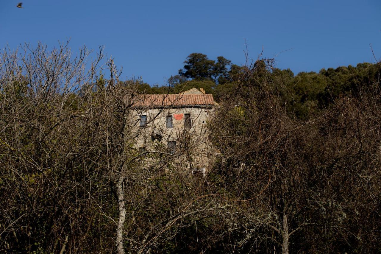 Casa Giacometti Grosseto-Prugna Dış mekan fotoğraf