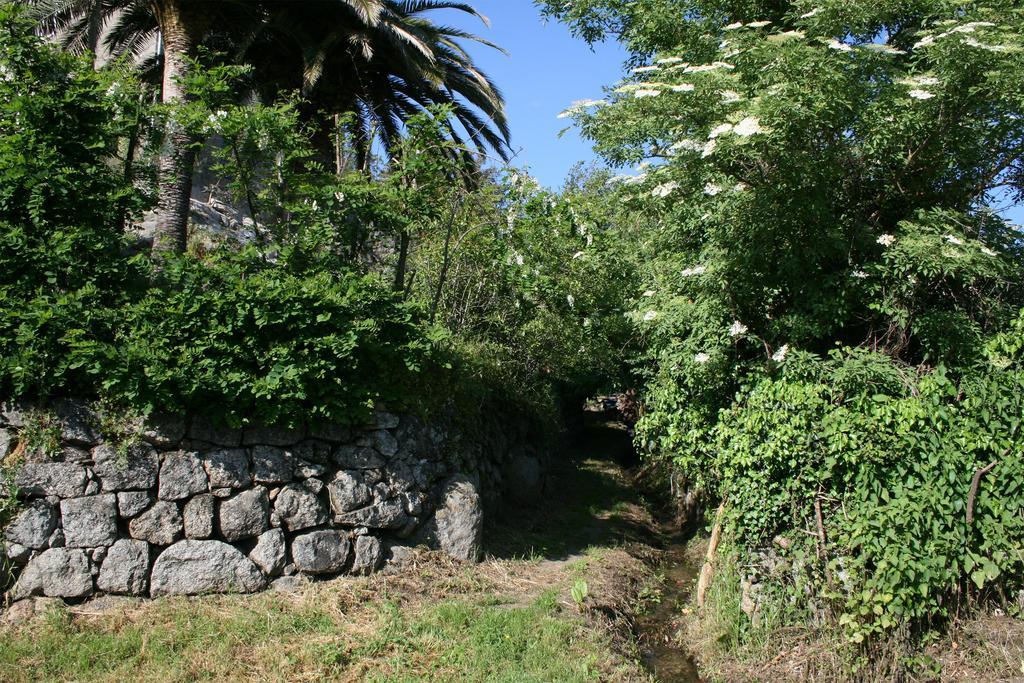 Casa Giacometti Grosseto-Prugna Oda fotoğraf